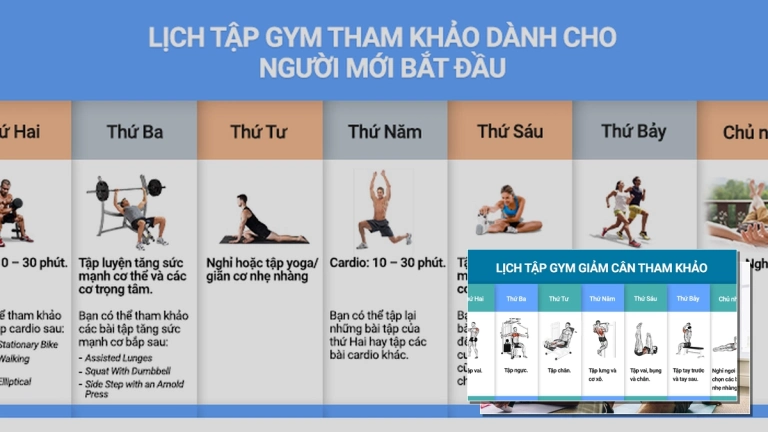 20 Bài tập Gym Tại Nhà Hiệu Quả Cho Nam và Nữ Năm 2026