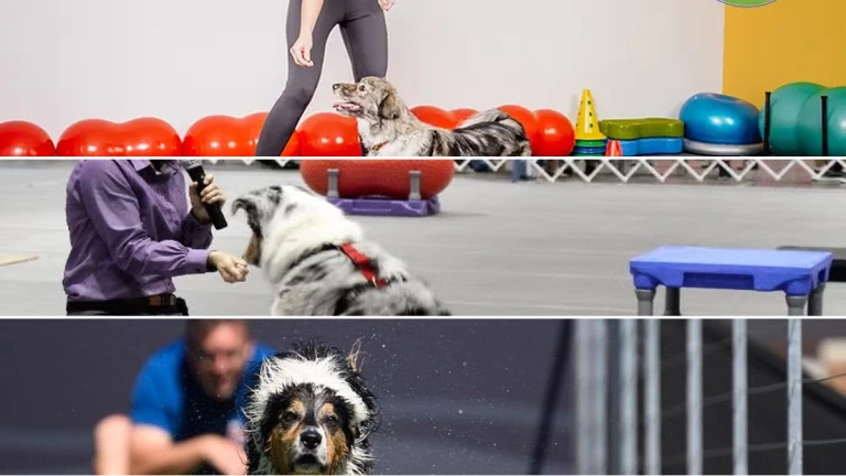 AKC Fitness: Khám phá chuỗi phòng tập đẳng cấp tại Việt Nam