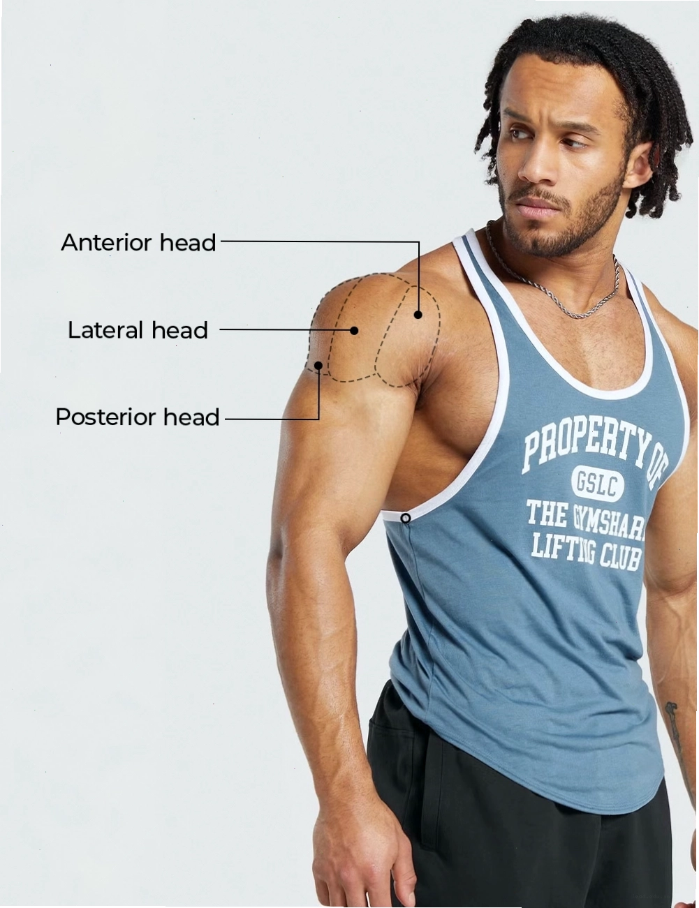 Bài tập Dumbbell Lateral Raise giúp tăng độ rộng cho bờ vai