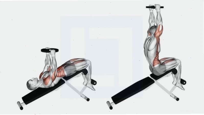 Bài tập gập bụng giúp giảm nguy cơ đau lưng và chấn thương cột sống