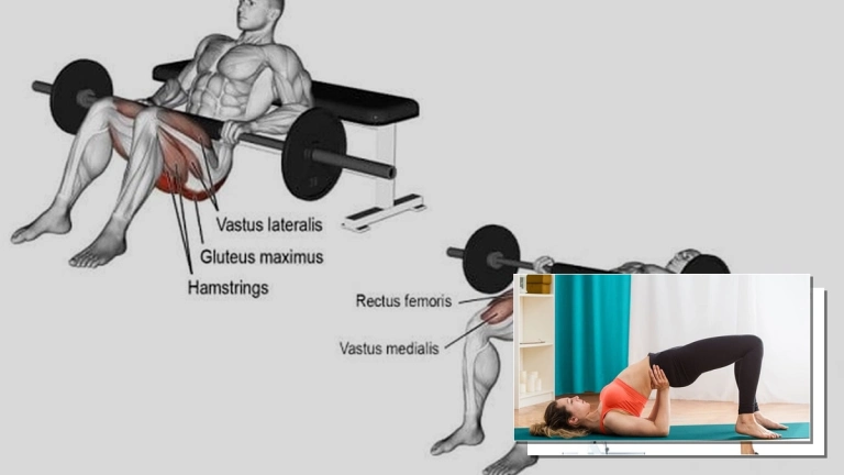 Bài Tập Hip Thrust: Hướng Dẫn Chi Tiết Từ A-Z Cho Vòng 3 Săn Chắc