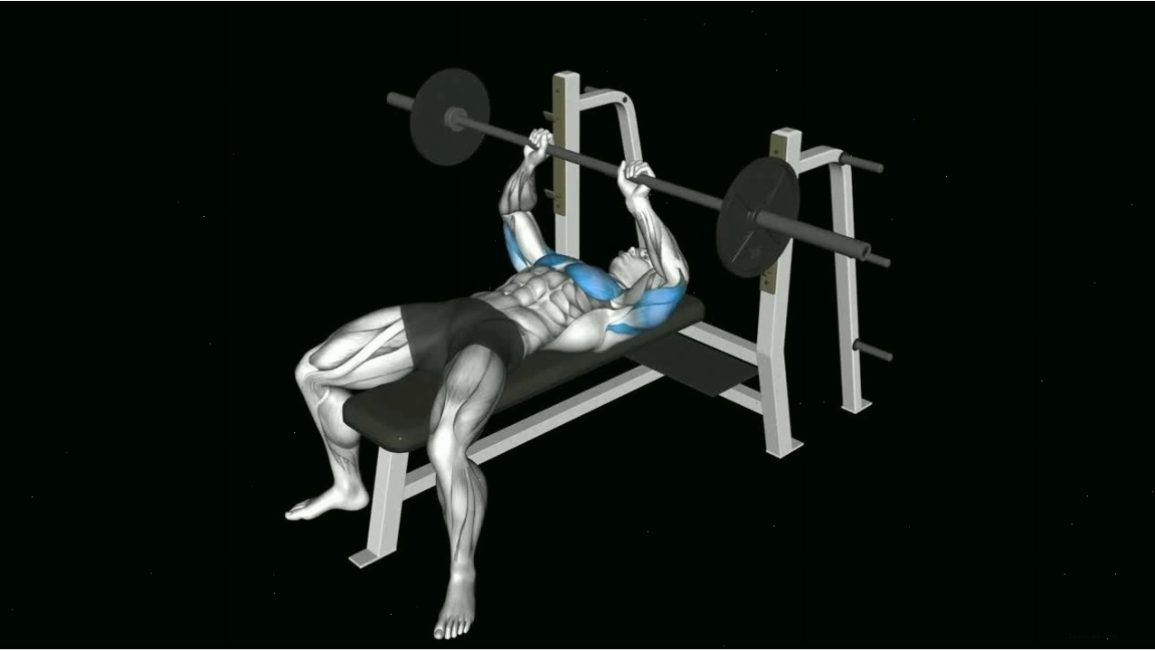 Bài tập Lying Tricep Extension
