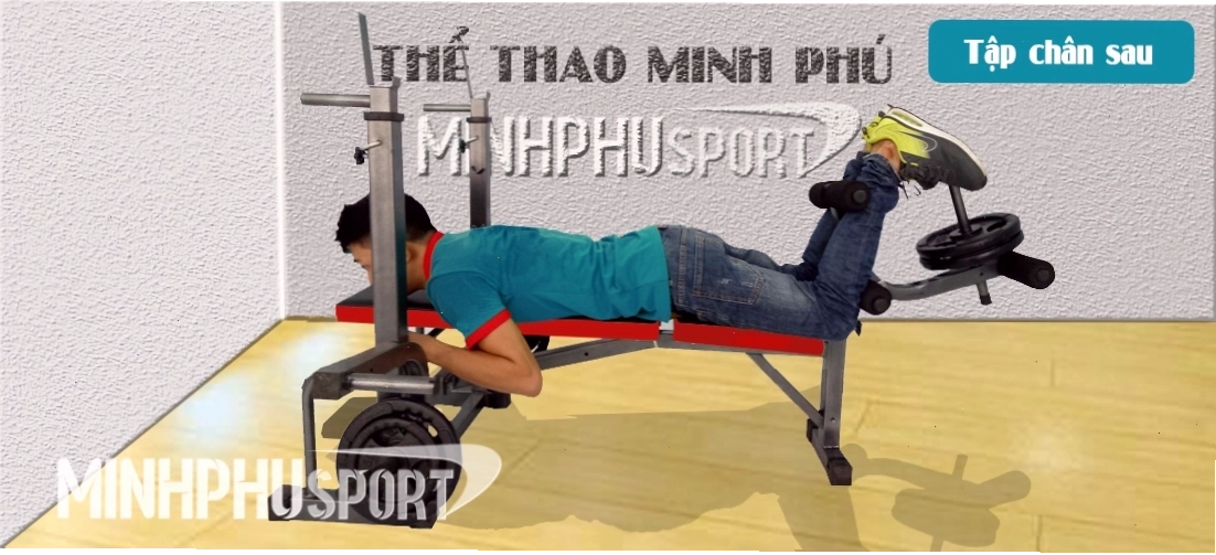 Bài tập nằm đẩy ngực trên trên ghế MP-15