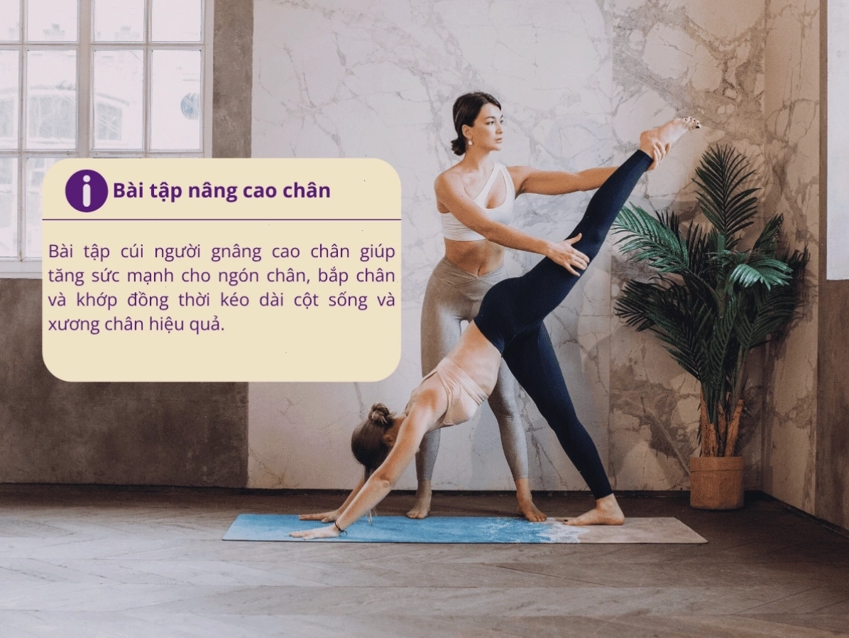 Bài tập nâng cao chân là một trong những cách làm chân dài ra hiệu quả