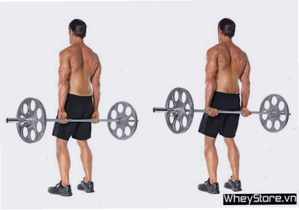 Bài tập ngồi cuộn cổ tay ngược với tạ đòn