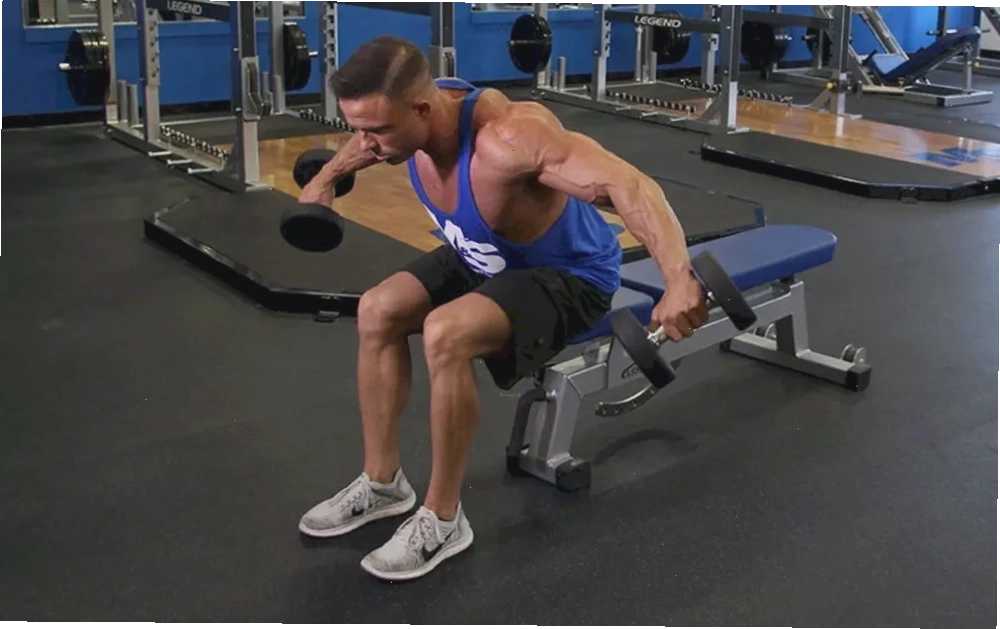 Bài tập vai Seated Bent Over Dumbbell Reverse Fly