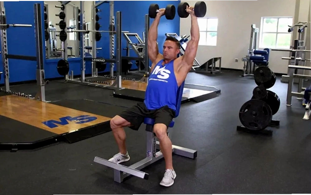 Bài tập vai Seated Dumbbell Press