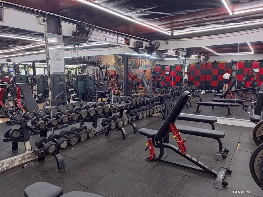 Bảng giá dịch vụ tại Pig Gym Đà Nẵng