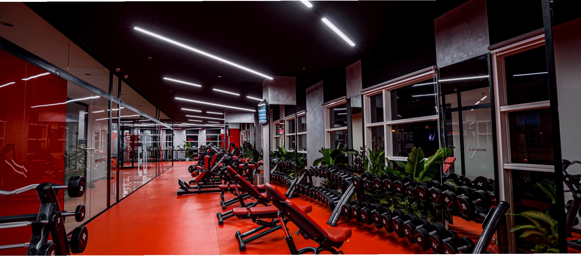 Bảng so sánh gói hội viên Citigym