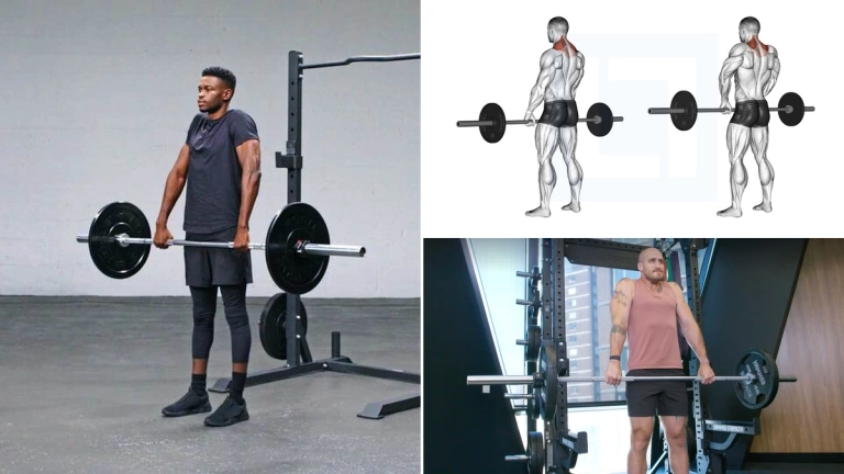 Barbell Shrugs: Bí Quyết Sở Hữu Cơ Trapezius 'Khủng'