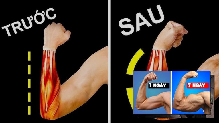 Bí quyết giúp tay to hơn: Bài tập và mẹo tăng kích thước cánh tay hiệu quả