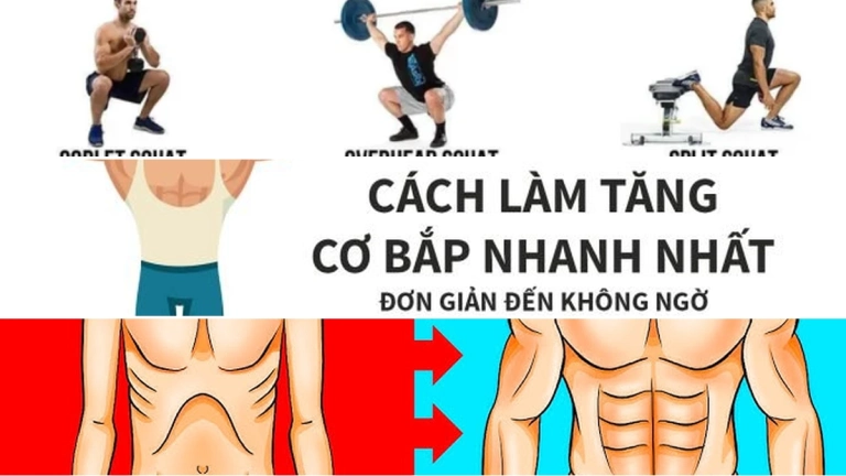 Bí quyết vàng: 11 cách làm tăng cơ bắp nhanh nhất hiệu quả vượt trội 2026