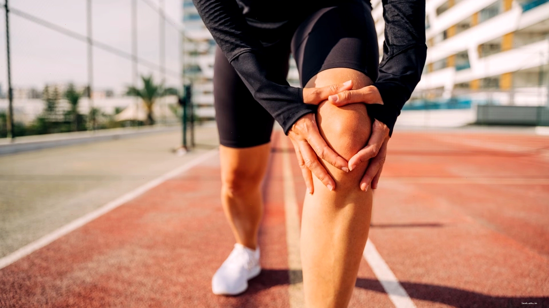 Biến thể Reverse Lunge với tạ tay