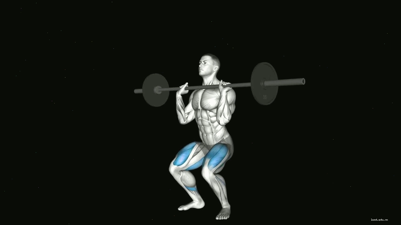 Biểu đồ minh họa các nhóm cơ được tác động bởi sumo squat