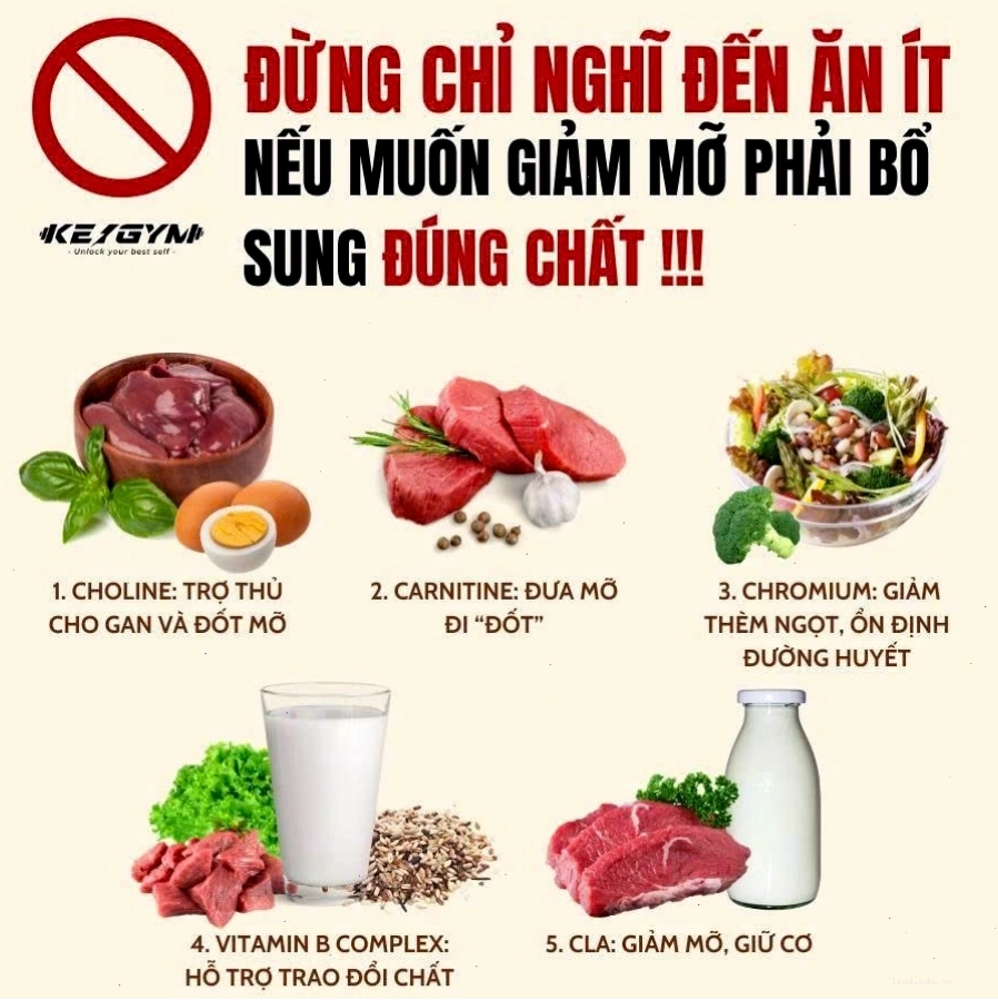 Bình lắc Perfect Sports 1000ml có bóng kim loại hỗ trợ pha Whey Protein mịn màng