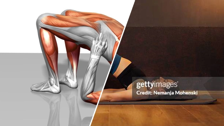 Bridge Exercise: Tăng Cường Sức Mạnh Cơ Bụng và Mông Toàn Diện