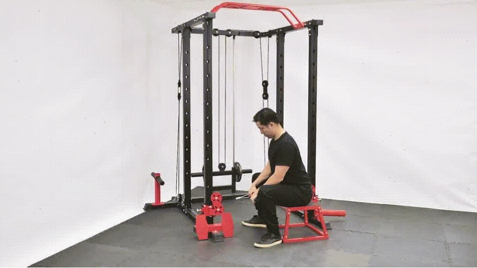 Các bài tập forearm workouts với tạ đơn lòng bàn tay úp