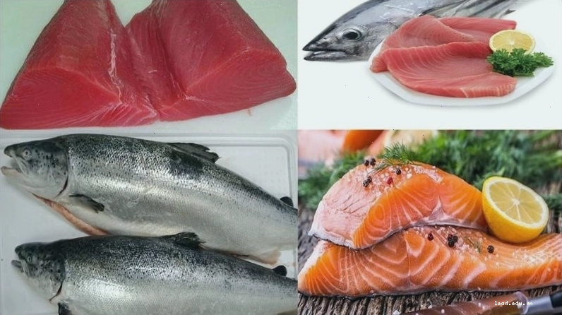 Các loại cá béo như cá hồi, cá thu