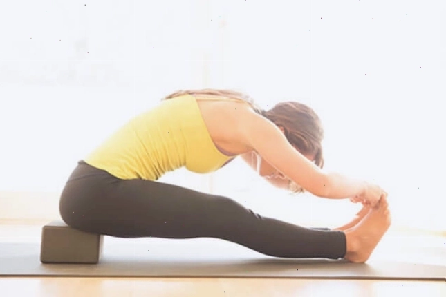 Các loại gạch tập yoga phổ biến