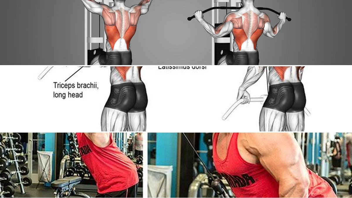 Cách Tập Lưng Xô Chuẩn Form, Hiệu Quả Tăng Cường Sức Mạnh Toàn Diện