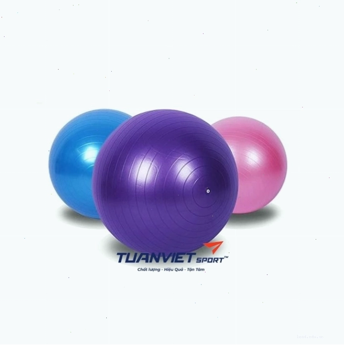 Cận cảnh bóng tập Yoga Gym Ball với đường kính 65cm