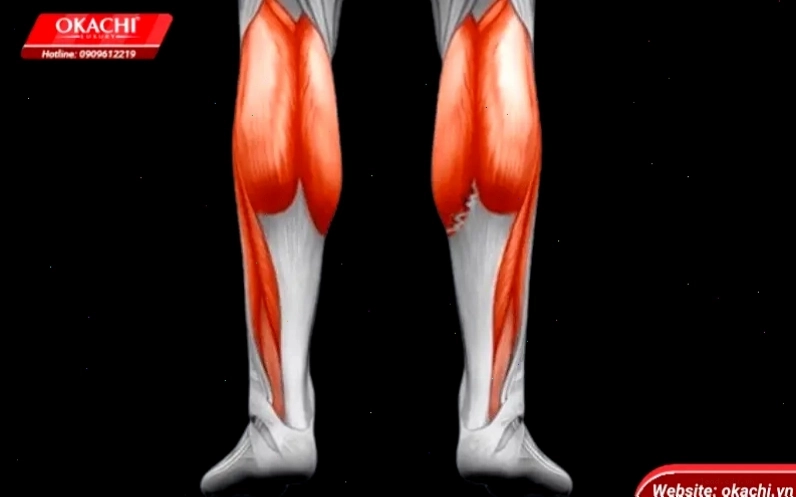 Cận cảnh cơ bắp chân săn chắc của vận động viên chạy bộ
