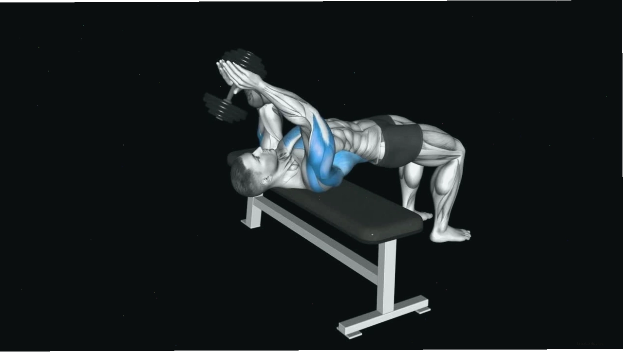 Cận cảnh cơ xô và vai sau khi tập Wide Grip Seated Cable Row