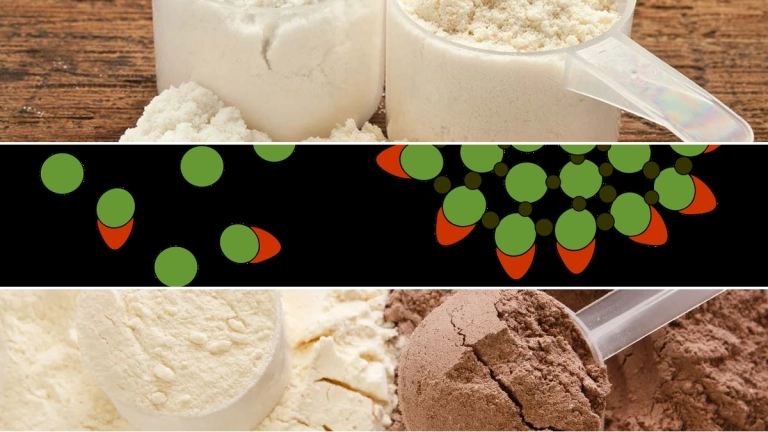 Casein là gì? Phân biệt Casein và Whey Protein chi tiết