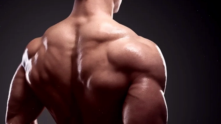 Cấu trúc cơ bắp lưng trên và vai sau