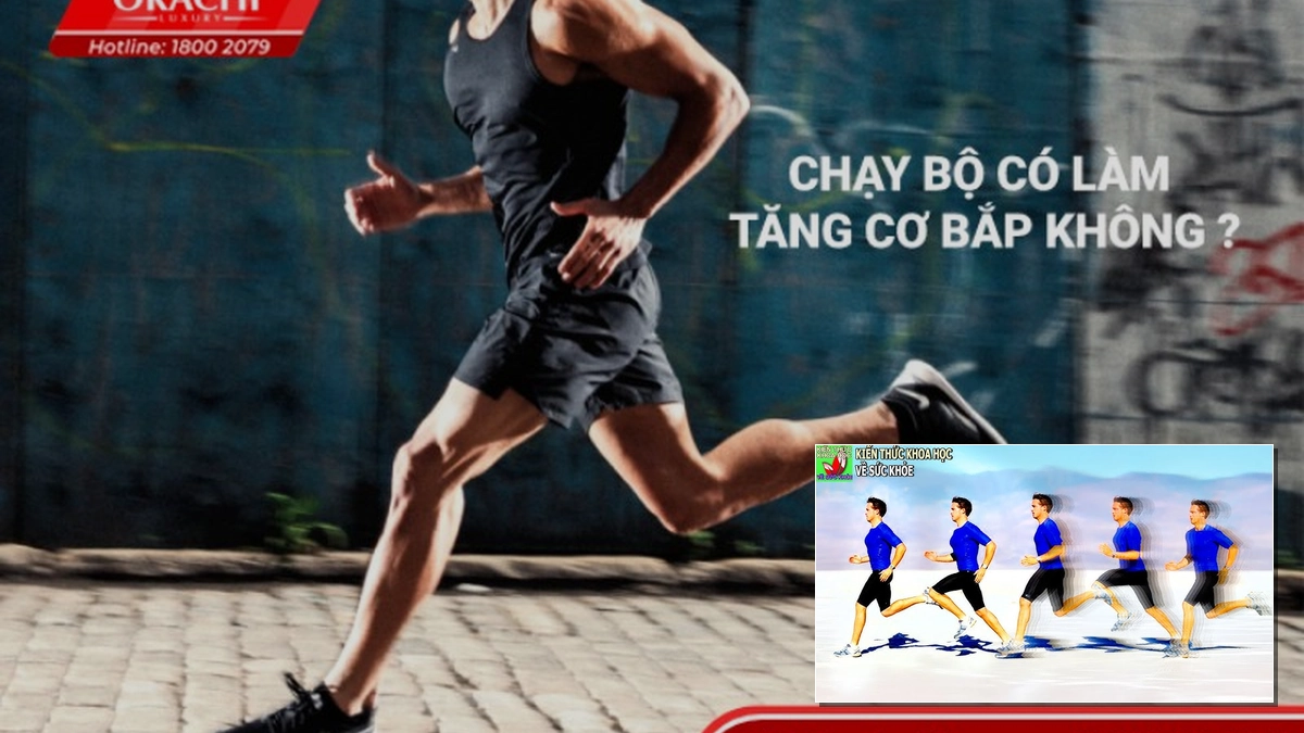 Chạy bộ có làm tăng cơ bắp không? Phân tích chi tiết tác động