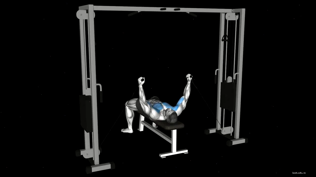 Chi tiết tay cầm và đệm hỗ trợ trên Dips Machine