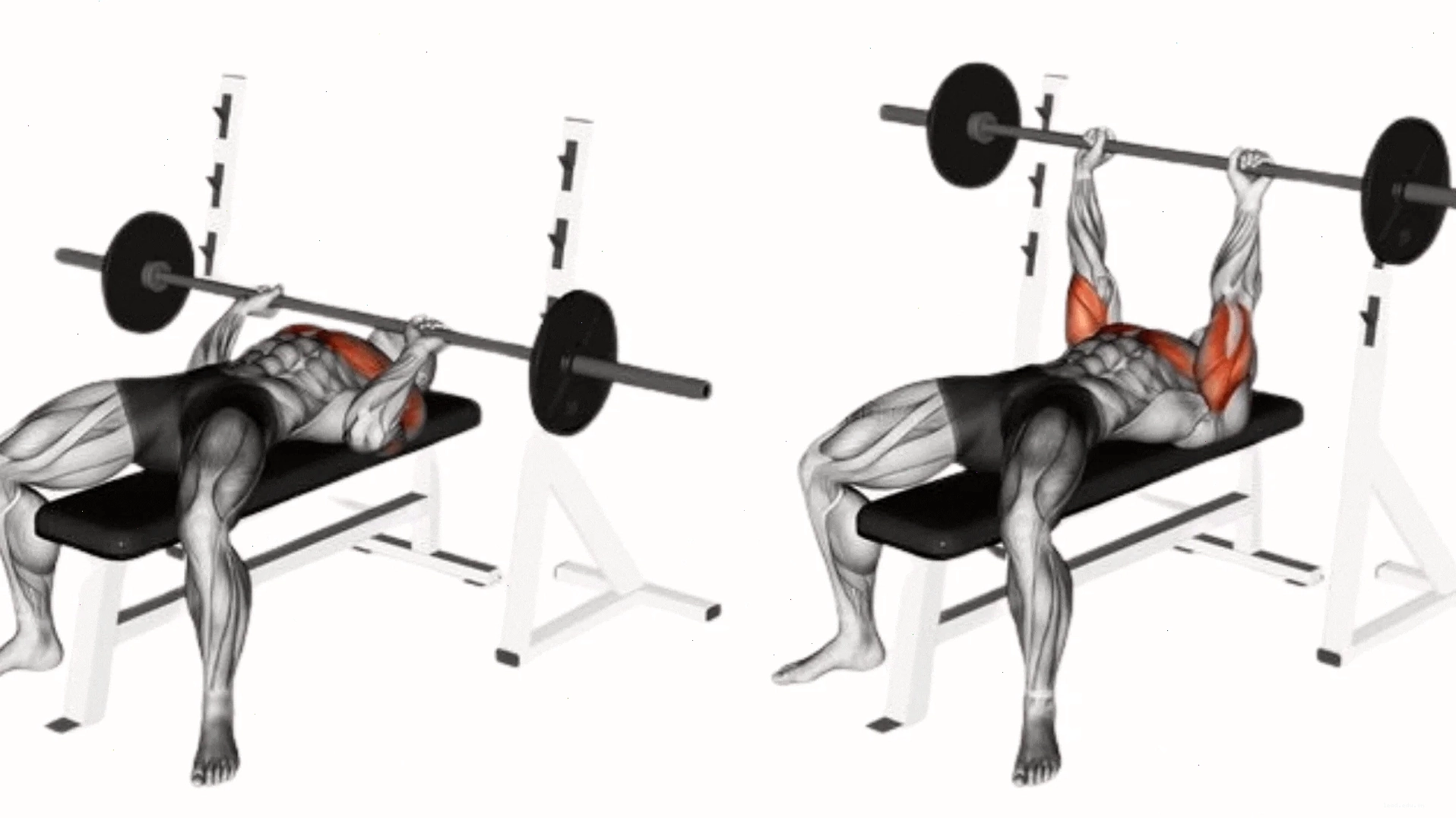 Close-Grip Bench Press cho sức mạnh cơ tam đầu
