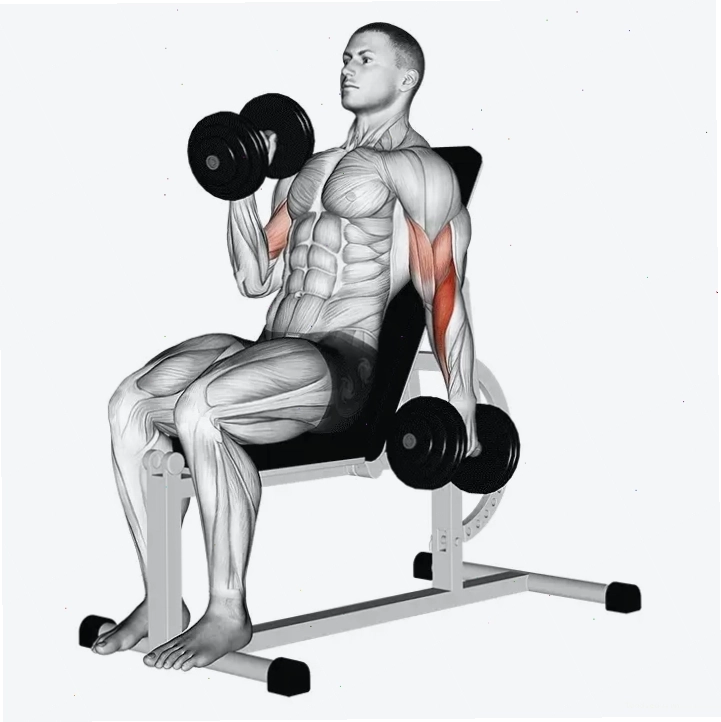 Cơ bắp tay trước phát triển ấn tượng khi tập Close-Grip Barbell Curls