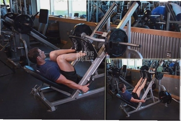 Cơ đùi trước phát triển cân đối