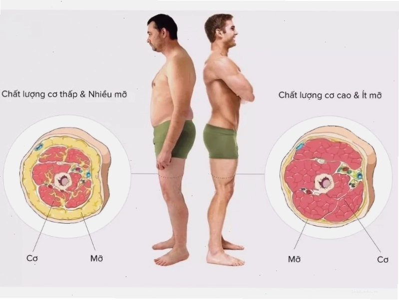 Đánh giá chính xác tình trạng cơ thể qua các chỉ số