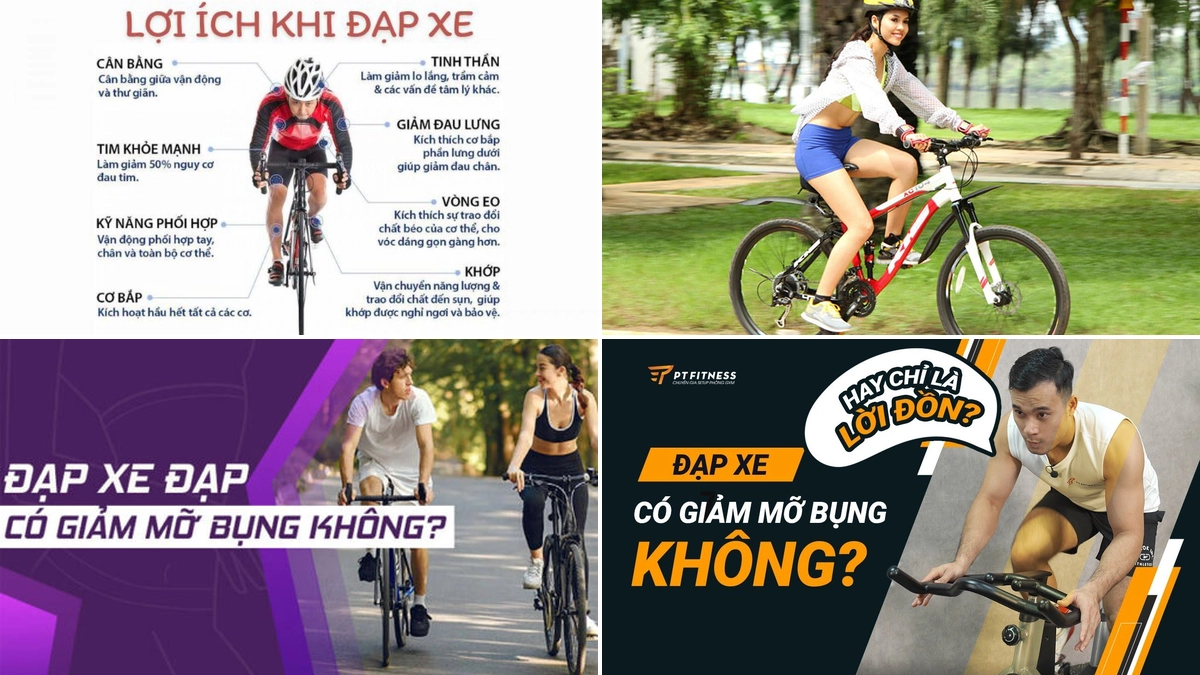 Đạp Xe Có Giảm Mỡ Bụng Dưới Không? Hướng Dẫn Chi Tiết Từ Chuyên Gia