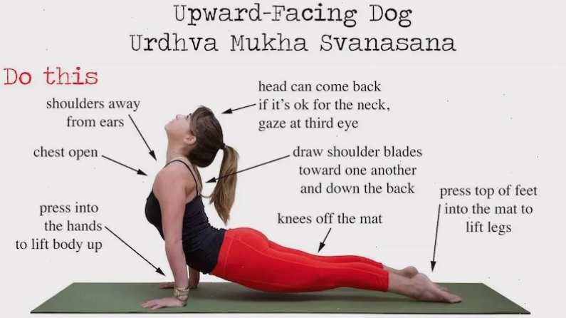 downward dog