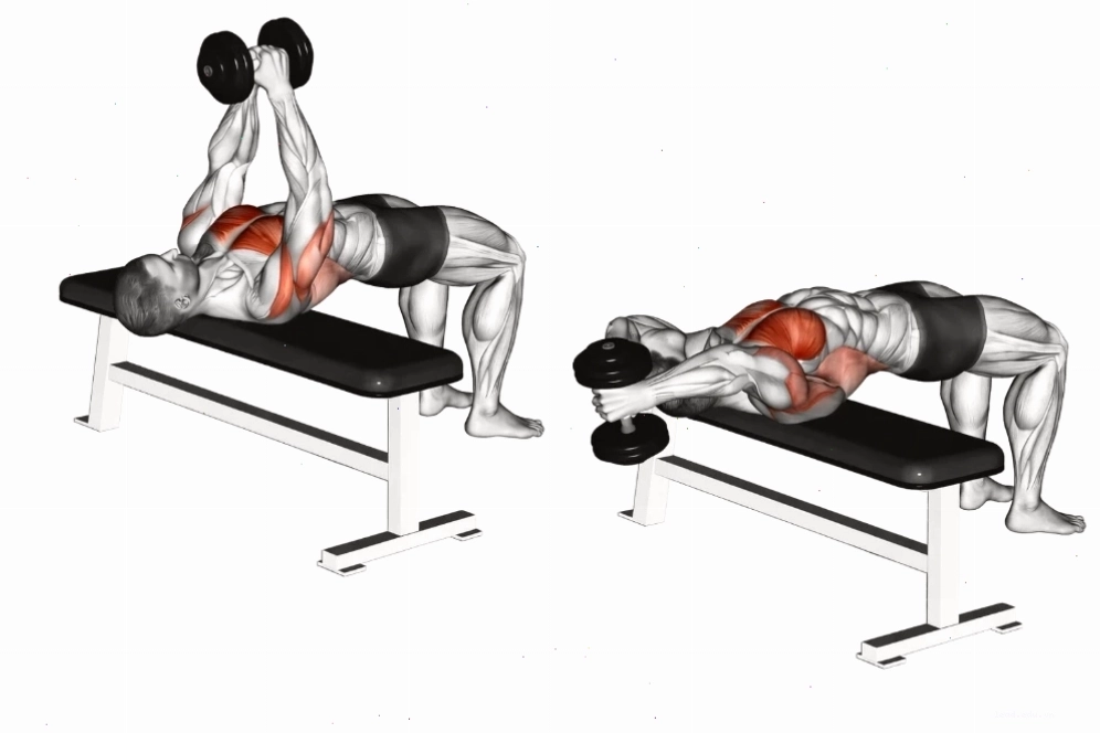 Dumbbell Pull-Over bổ trợ phát triển cơ ngực dưới