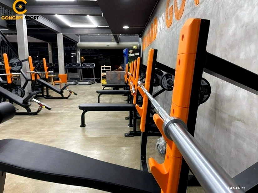 Ghế tập ngực, tập tay, tập xô tại Pig Gym