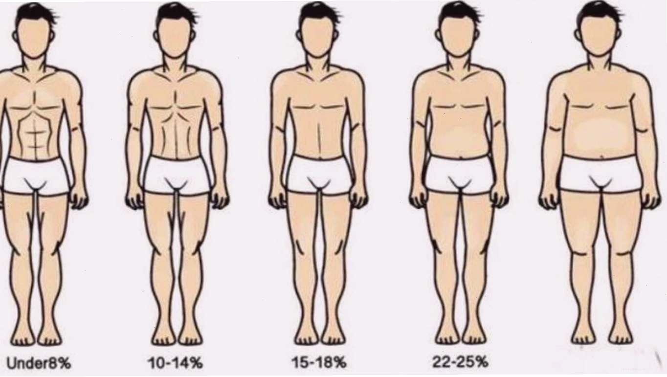 Giao diện công cụ tính BMI và Body Fat