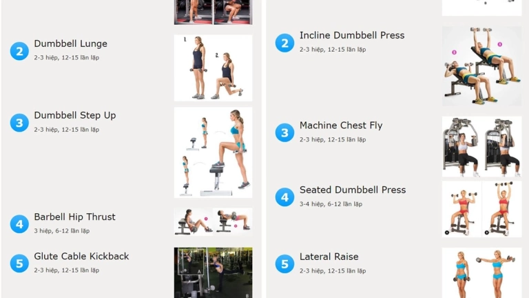 Giáo trình tập gym cho nữ: Lộ trình săn chắc toàn diện từ A-Z