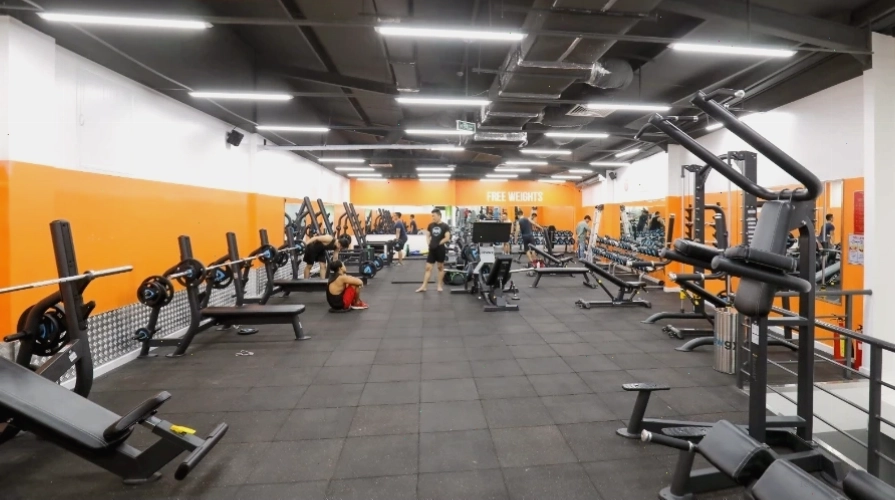 Hệ thống máy móc hiện đại tại The New Gym Nguyễn Chí Thanh