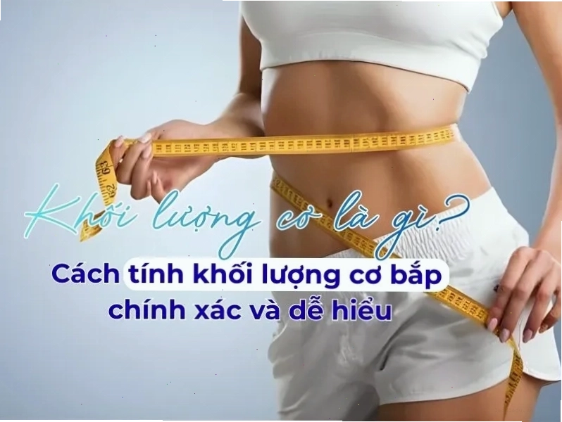 Hiểu rõ về Muscle Mass và cách tính khối lượng cơ bắp
