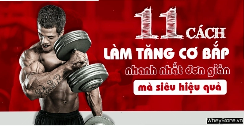 Hình ảnh tổng quan về các bài tập và chế độ dinh dưỡng giúp tăng cơ bắp