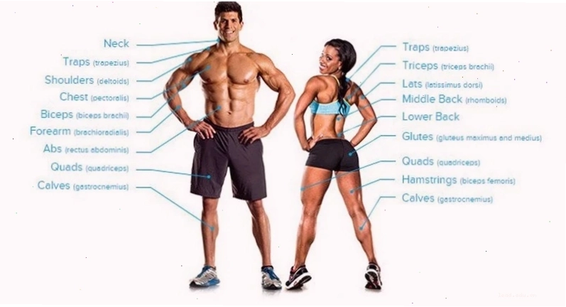 Huấn luyện viên giám sát một phụ nữ tập gym với tạ tay
