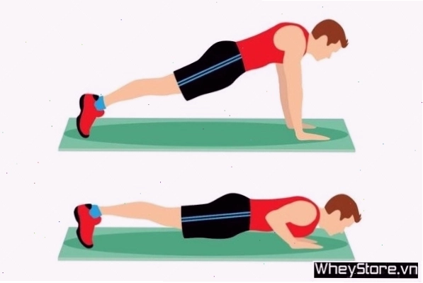Hướng dẫn bài tập chống đẩy tiêu chuẩn (Push Up) cho cơ ngực