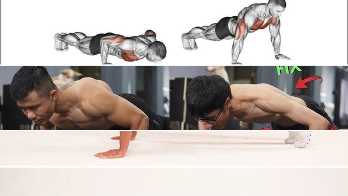 Hướng dẫn chi tiết cách hít đất đúng cách và các biến thể hiệu quả