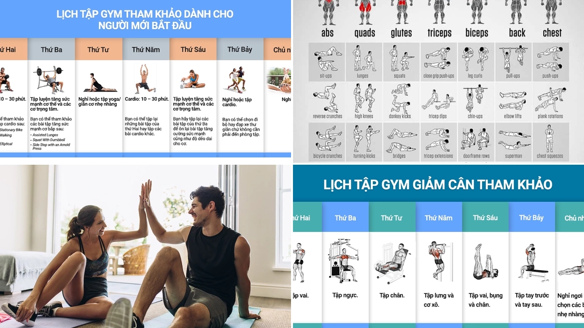 Hướng dẫn chi tiết những bài tập gym cho người mới bắt đầu hiệu quả 2026