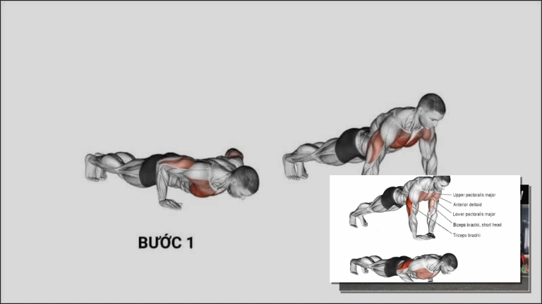 Hướng Dẫn Hít Đất Đúng Cách: Kỹ Thuật Chuẩn và Các Lỗi Sai Thường Gặp