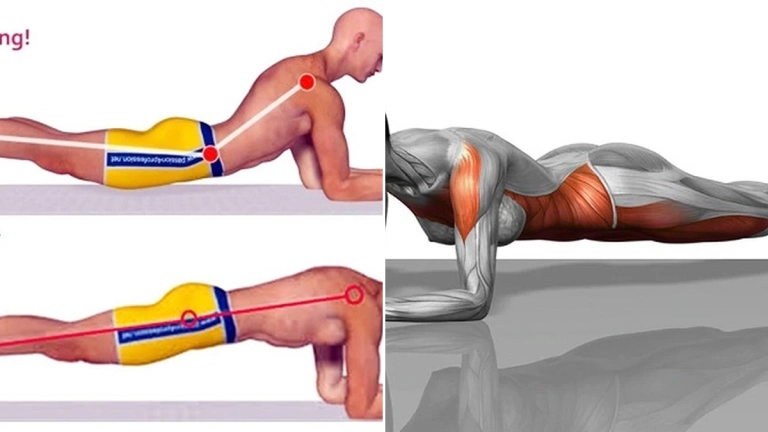 Hướng dẫn plank đúng tư thế: Lợi ích và kỹ thuật chi tiết 2026